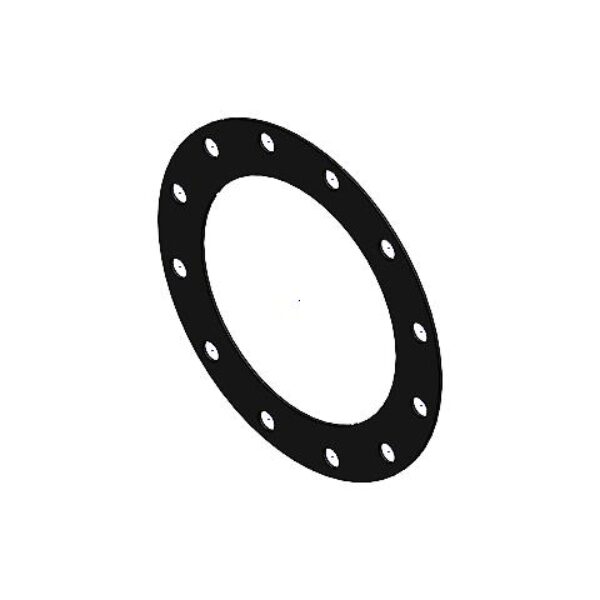 Gasket DN250 10 Inch